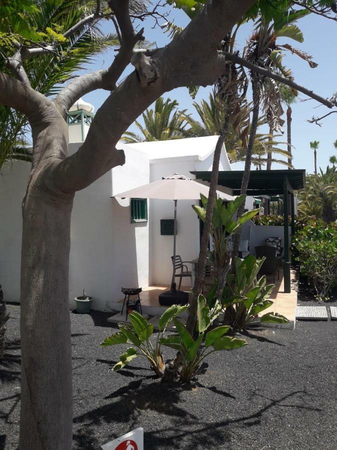 Bungalow Dalai - Pool View- Good Wifi 푸에르토 델 카르멘 외부 사진